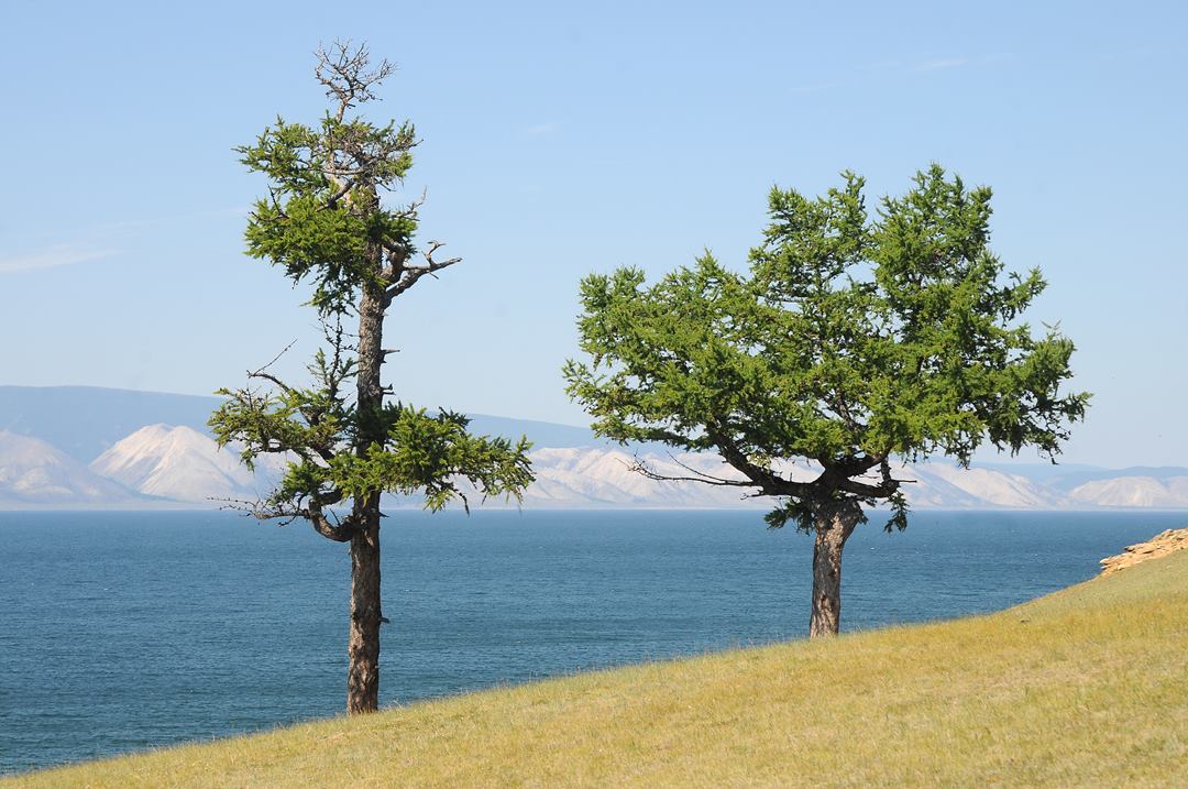139   Rosja